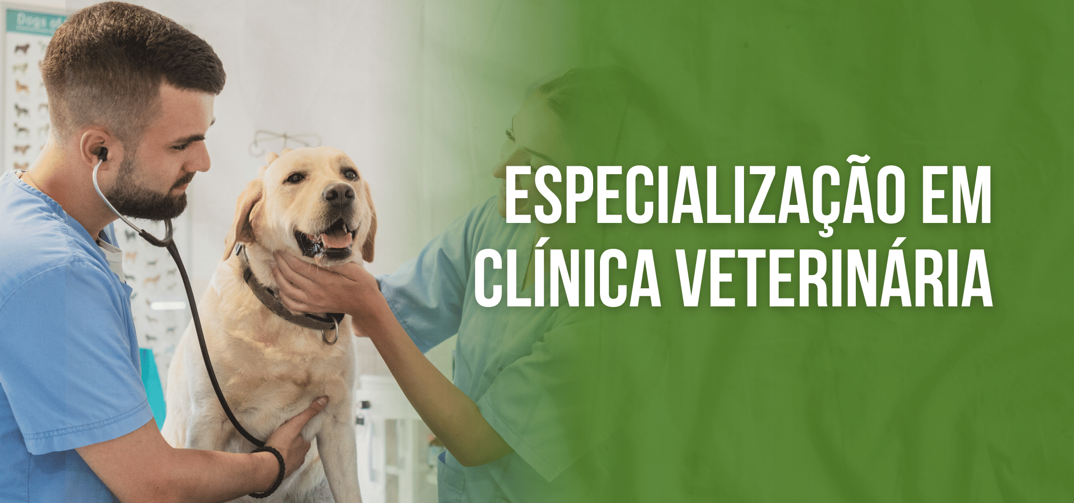 Course Image Especialização