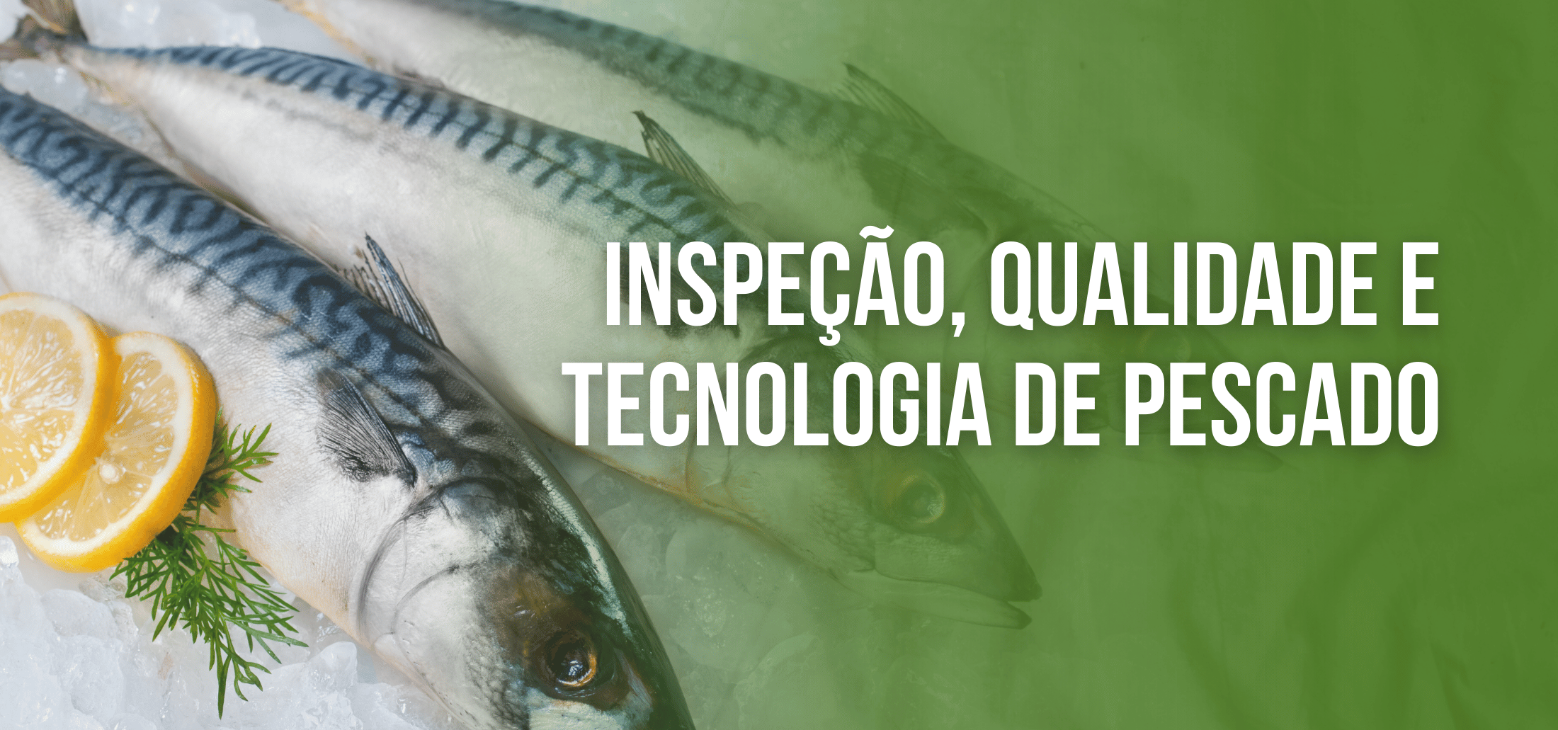 Course Image Curso de Qualificação On-line