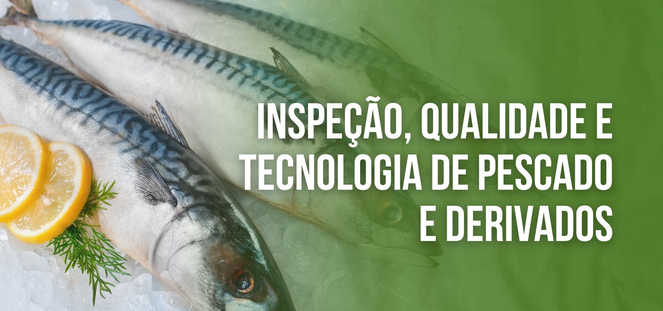 Course Image Curso de Qualificação On-line