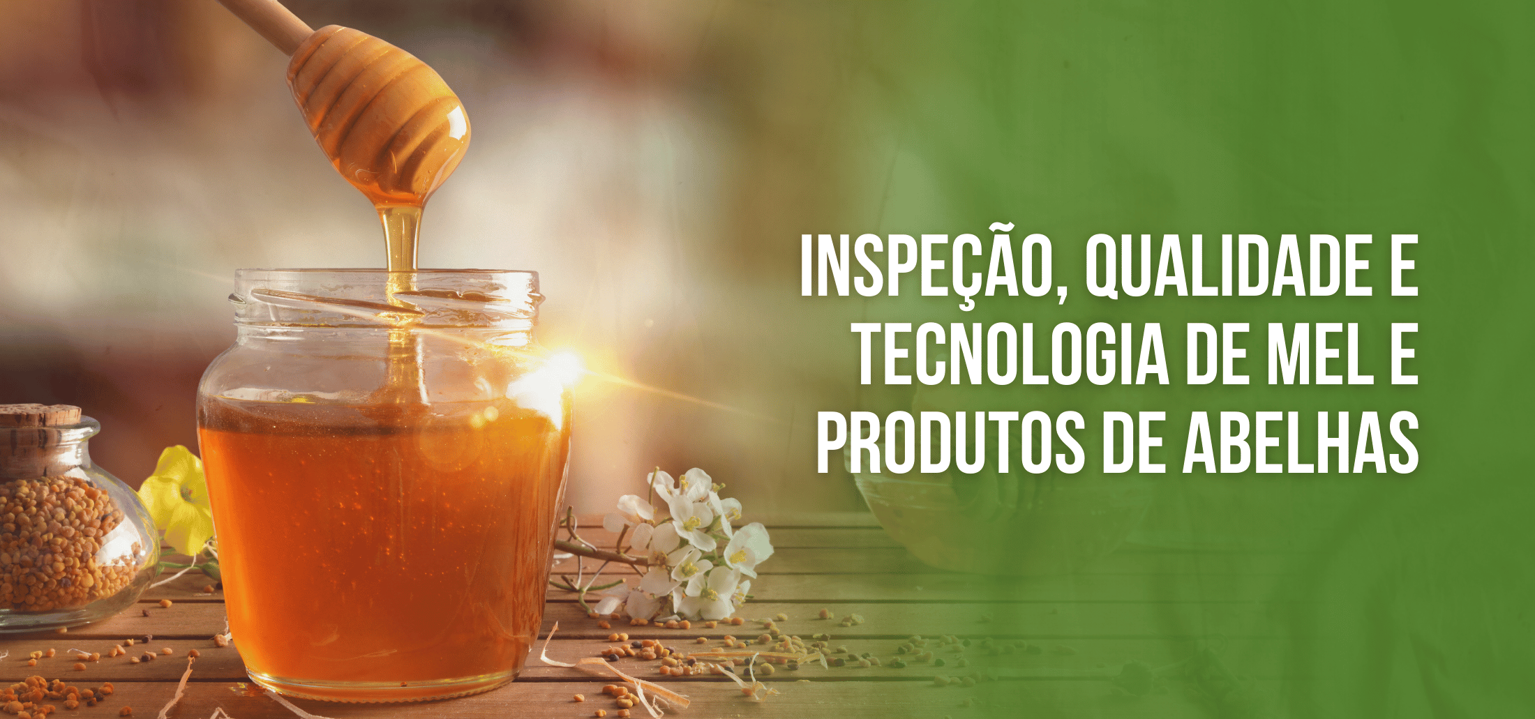 Course Image Curso de Capacitação On-line