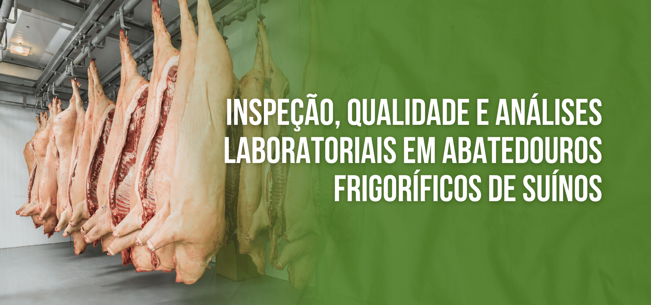 Course Image Curso de Qualificação On-line