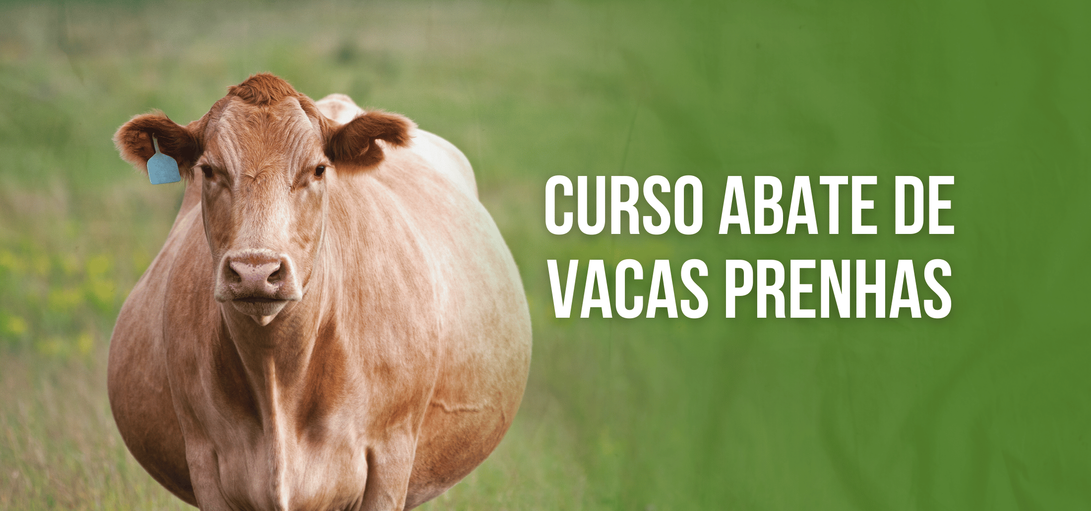 Course Image Curso de Capacitação On-line