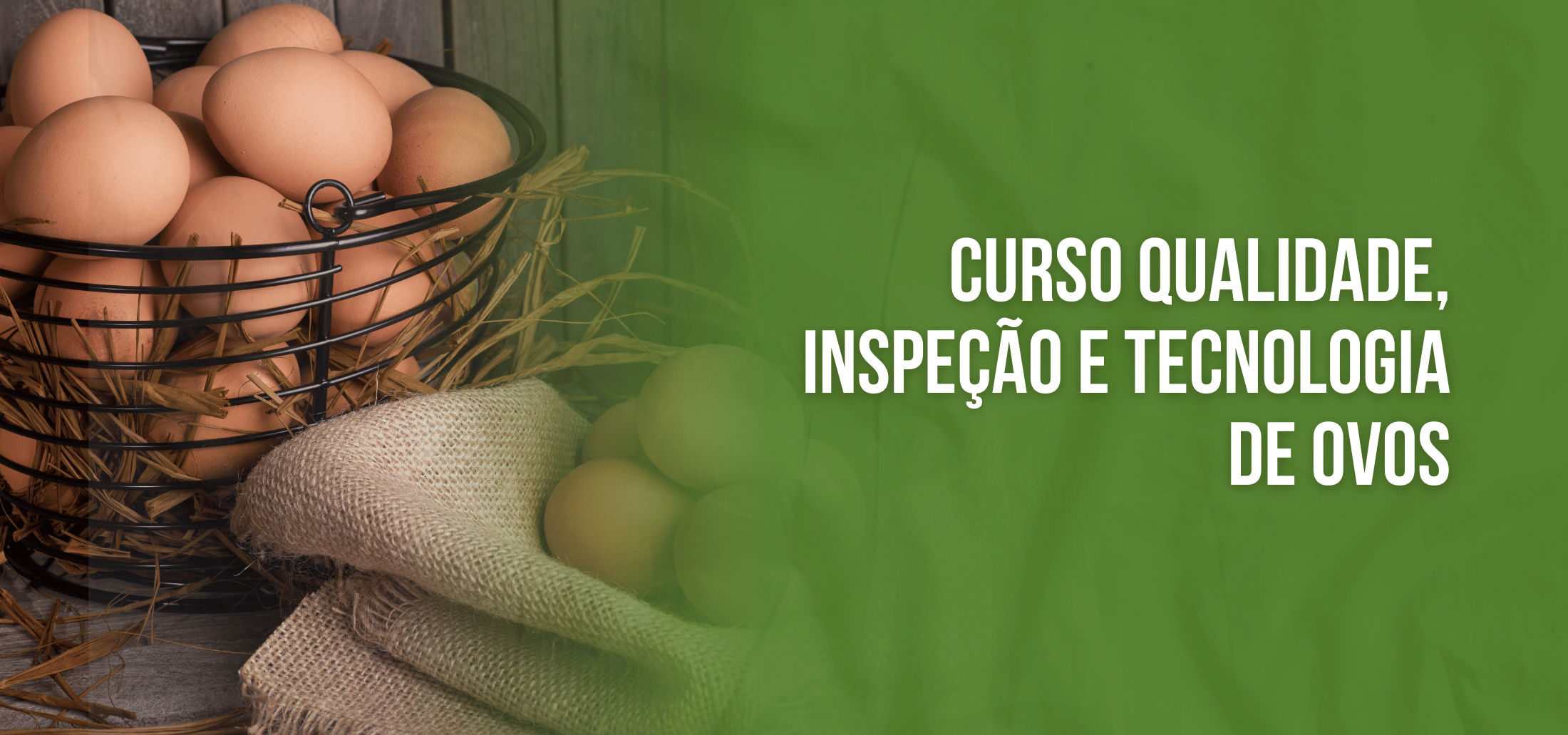 Course Image Curso de Capacitação On-line