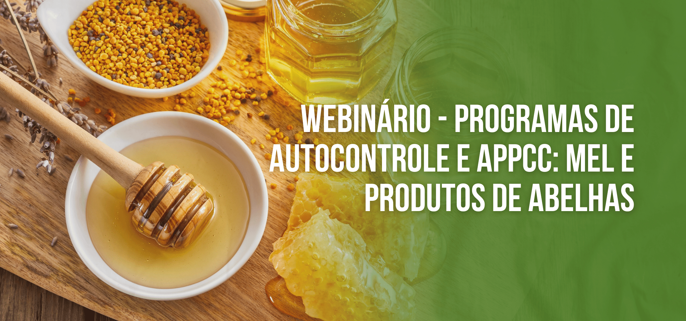 Course Image Webinário