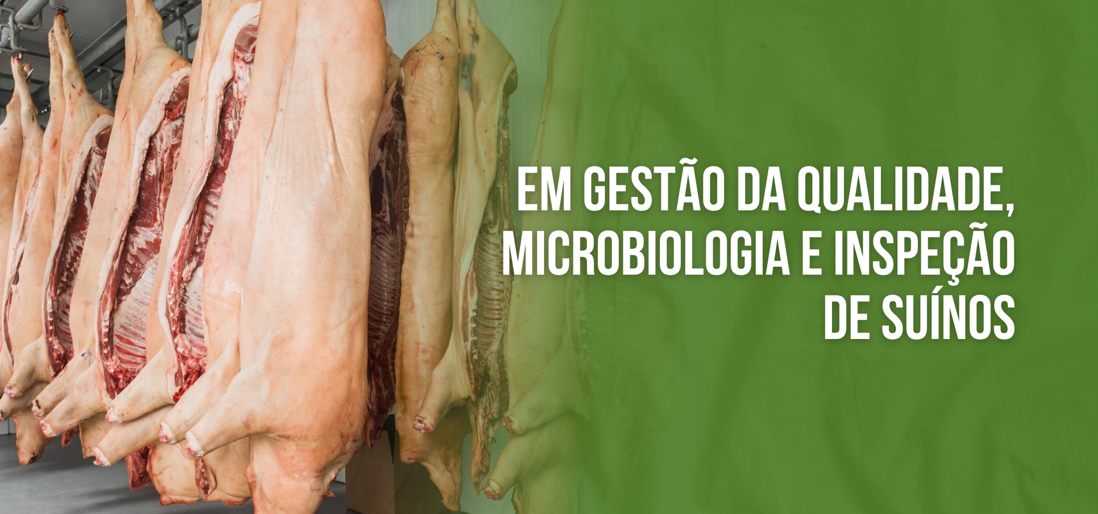 Course Image Especialização em gestão da qualidade, microbiologia e inspeção de suínos