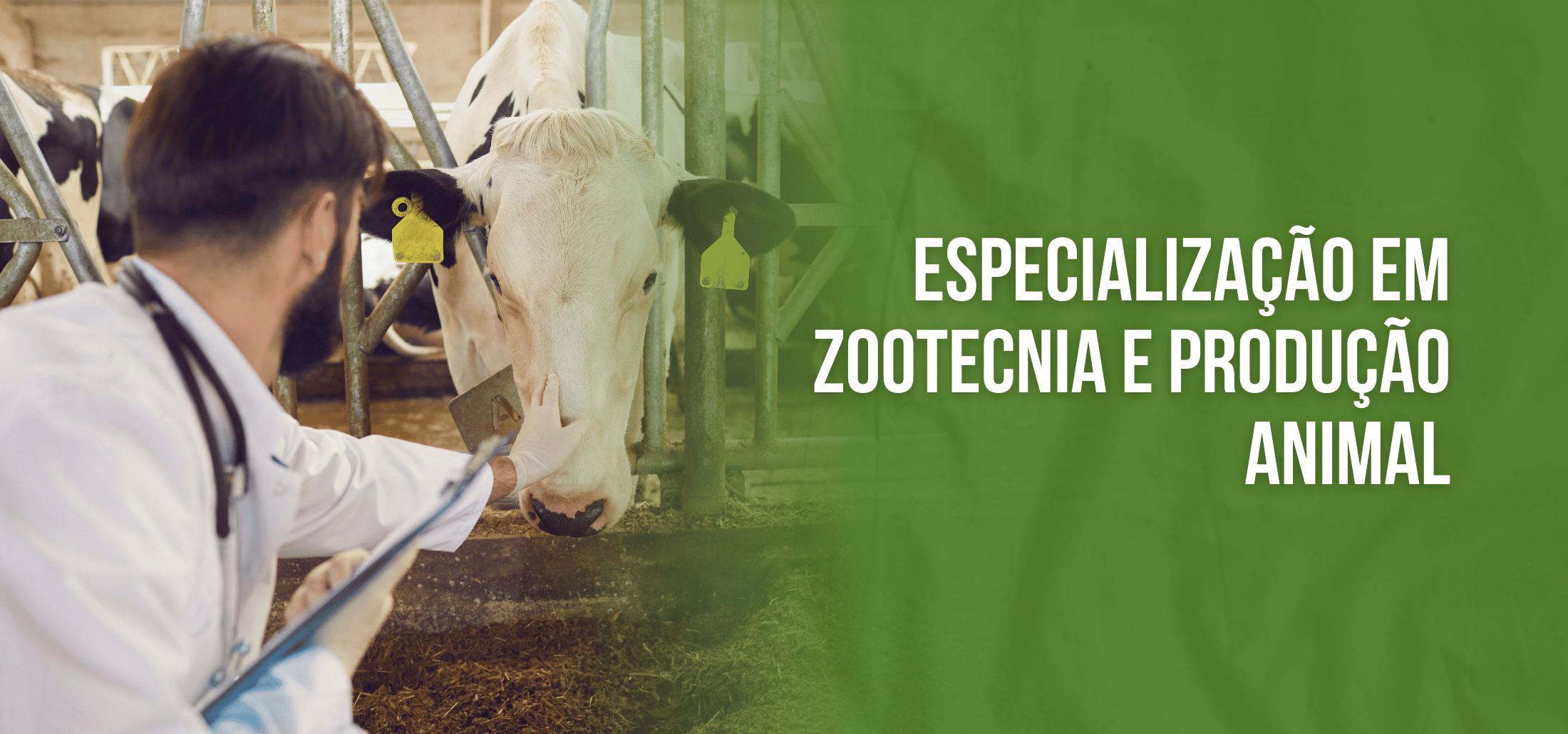 Course Image Especialização