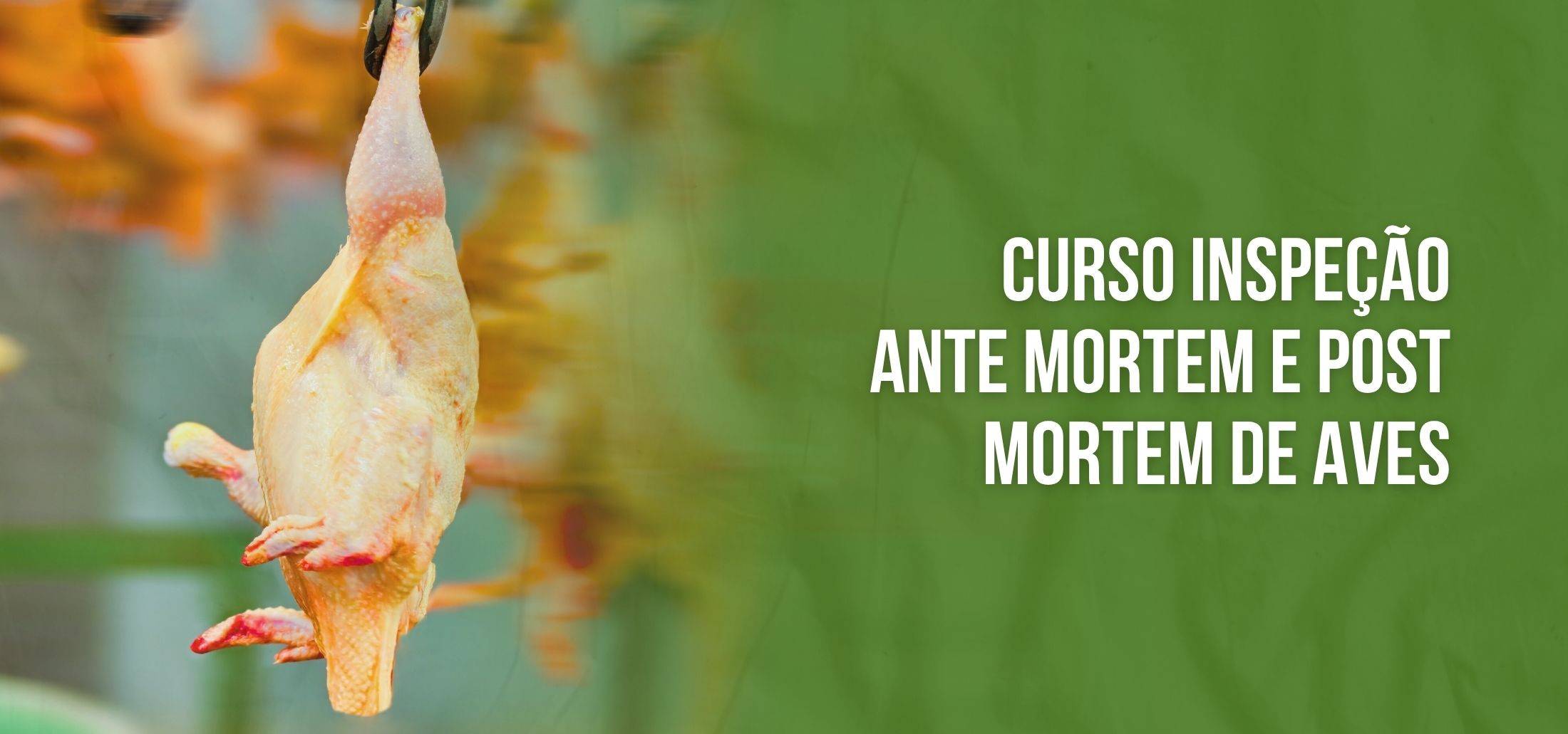Course Image Curso de Capacitação On-line